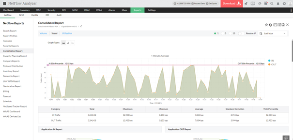 Screen systemu - NetFlow Analyzer